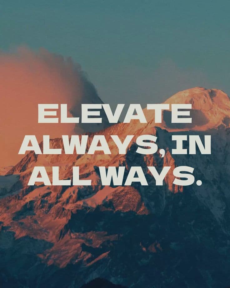 Elevate Your Life